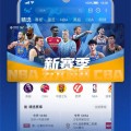 世界杯电竞羽毛球赛事赛程表格斗术语太阳擒马刺仍无缘nba杯8强